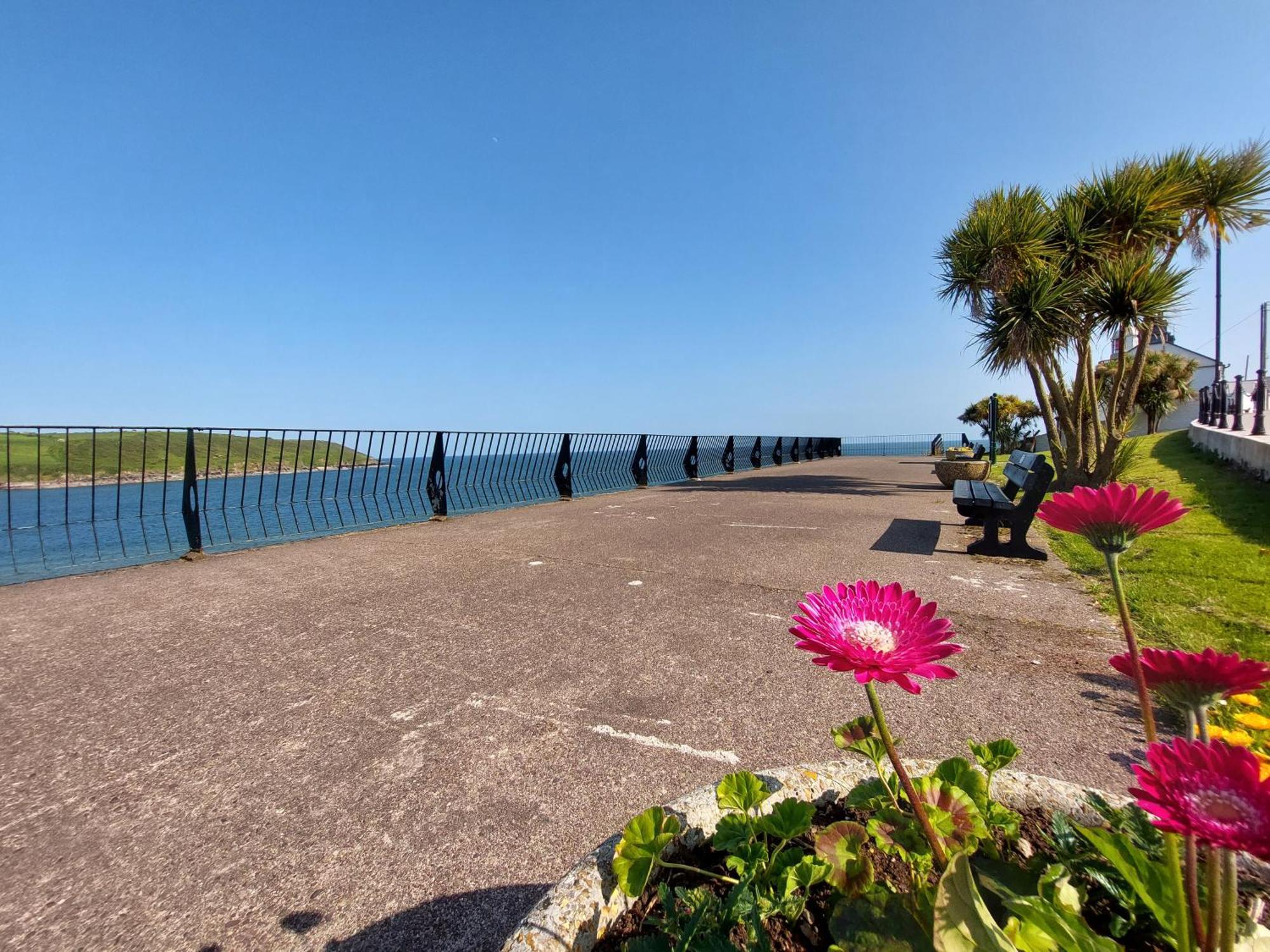 Sea Whispers - My Charming Costal Retreat In Youghal Buitenkant foto