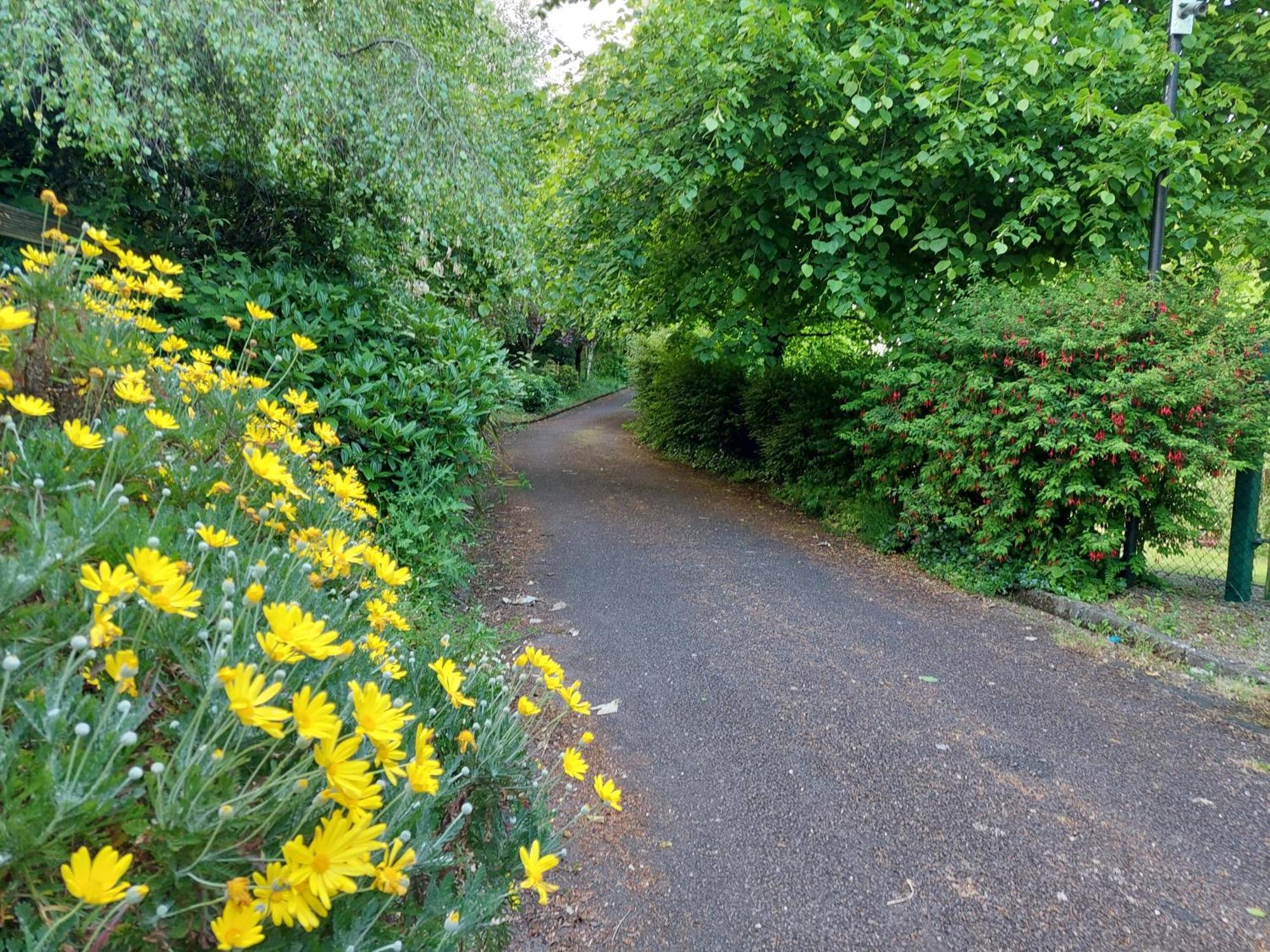 Sea Whispers - My Charming Costal Retreat In Youghal Buitenkant foto